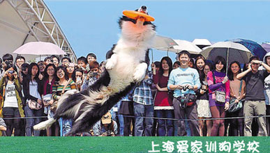 山東無(wú)縫鋼管廠(chǎng)